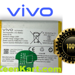 Original Vivo Y100A 5G (V2222) Battery B-X8 - 4500mAh